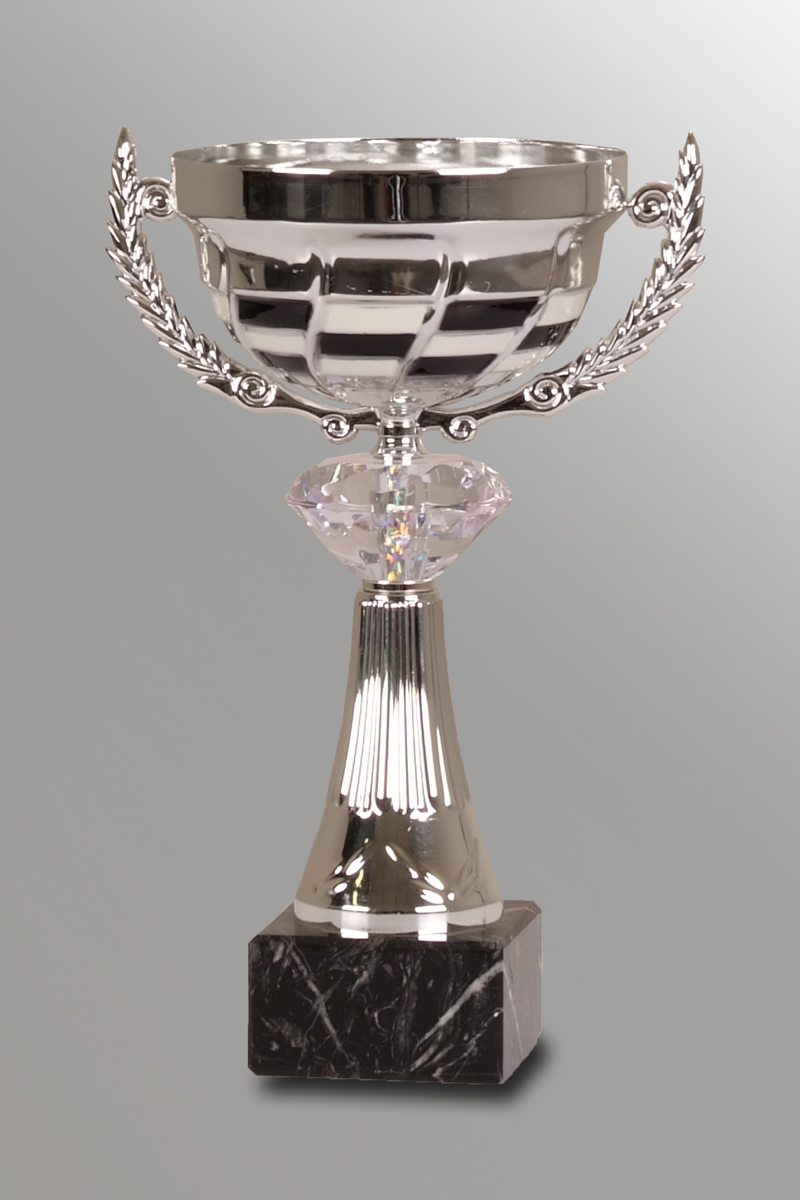 Silver Cup Trophy